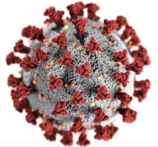 Armando Iachini: 6 Reasons Why COVID-19 Is Nothing Like the Flu (Part 1 of 2) – The Human Evolution Blog